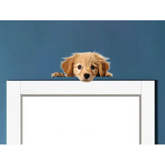 Sarı Yavru Köpek Duvar Stickerı