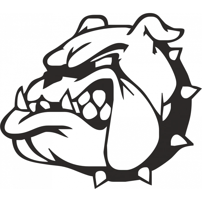 köpek sticker 10x10 cmRenkli Sticker