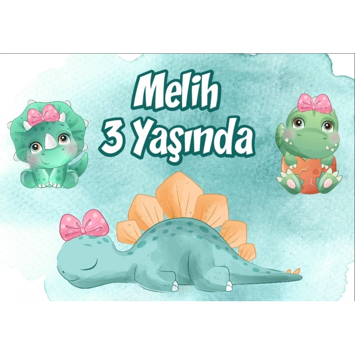 Dinozorlar Temalı Doğum Günü Afişi 50X70 cm