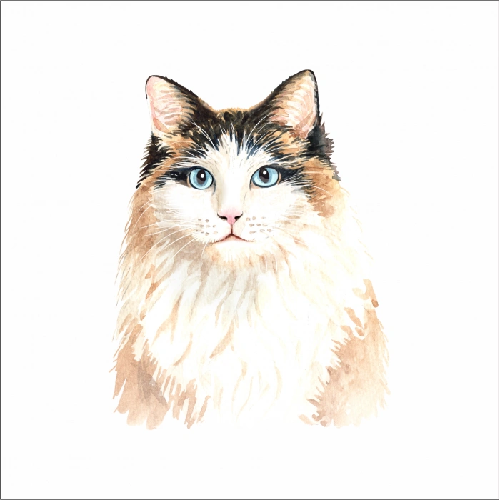 Sevimli kedi Sticker 2