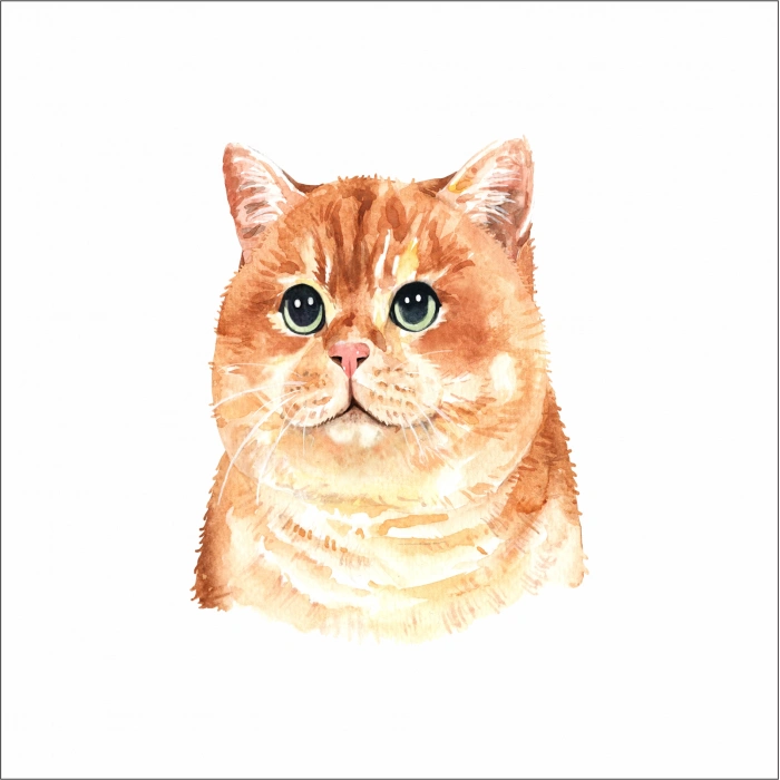 Sevimli Kedi Sticker 3