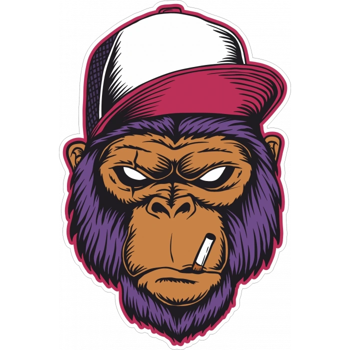 Sigara içen Goril Sticker 10x10 cmRenkli Sticker