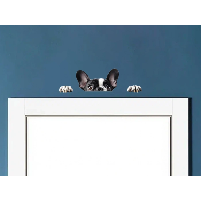 Siyah Beyaz Fransız Bulldog Köpek Duvar Stickerı