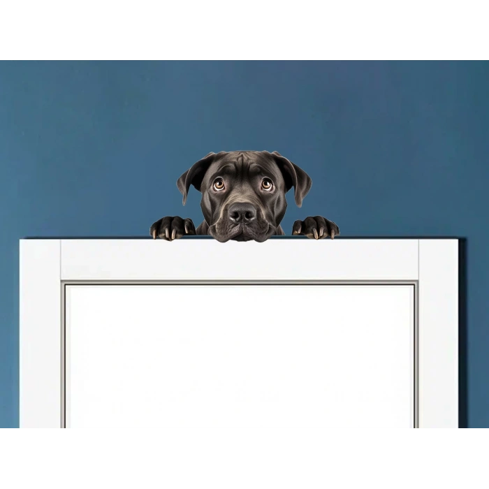 Siyah Cane Corso Köpek Duvar Stickerı