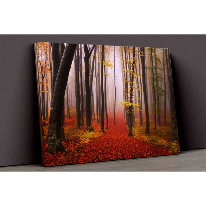 Sonbahar Ve Güneş Kanvas