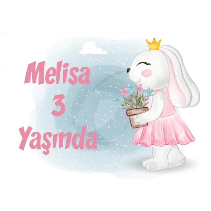 Tavşan Temalı Doğum Günü Afişi 35X50 cm