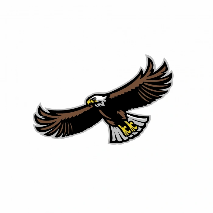 Uçan Kartal Sticker 10x10 cmRenkli Sticker