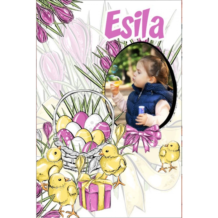 Civcivler Temalı Doğum Günü Afişi 35X50 cm