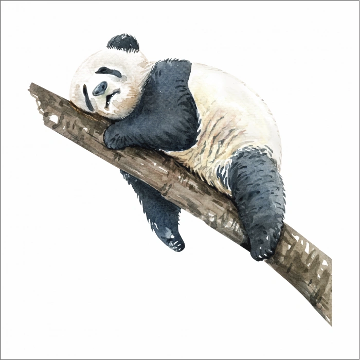 Uyuyan Panda Sticker