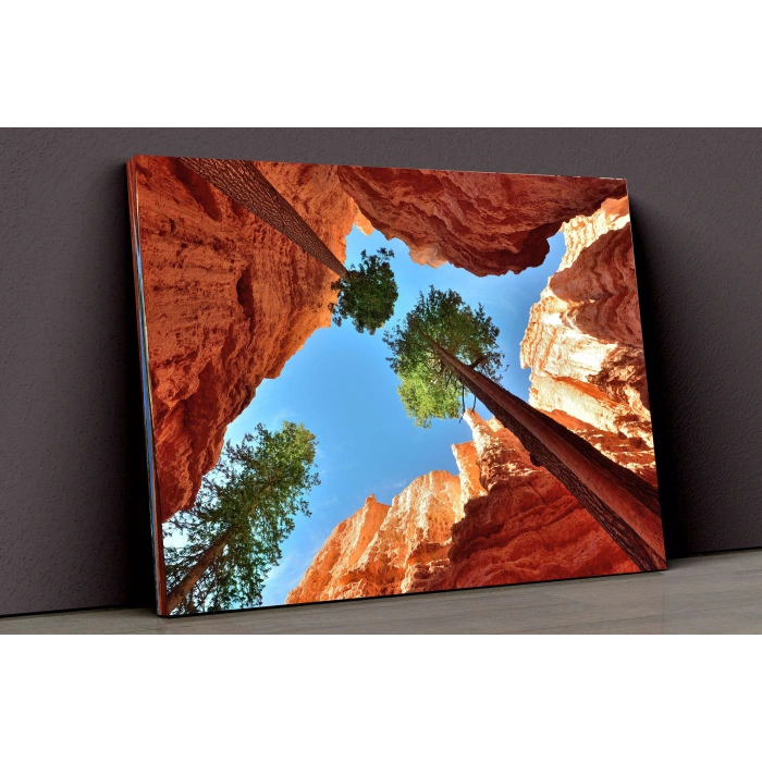 Vadi Ve Ağaçlar Kanvas