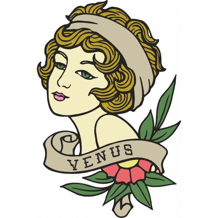 Venus Sticker 10x10 cmRenkli Sticker