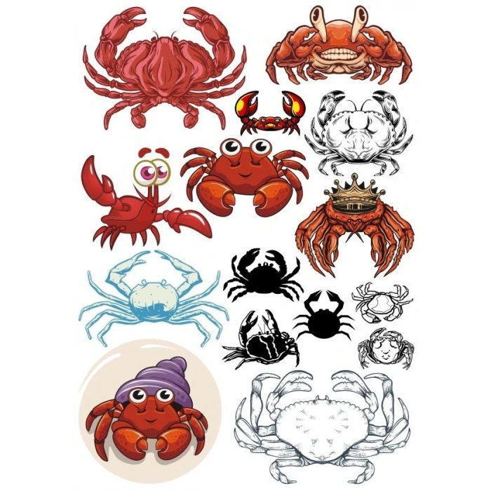 Yengeç Sticker Set-2 13 Parça Telefon, Tablet, Defter, Laptop Sticker