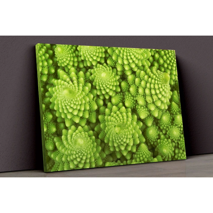 Yeşil Bitkiler Kanvas