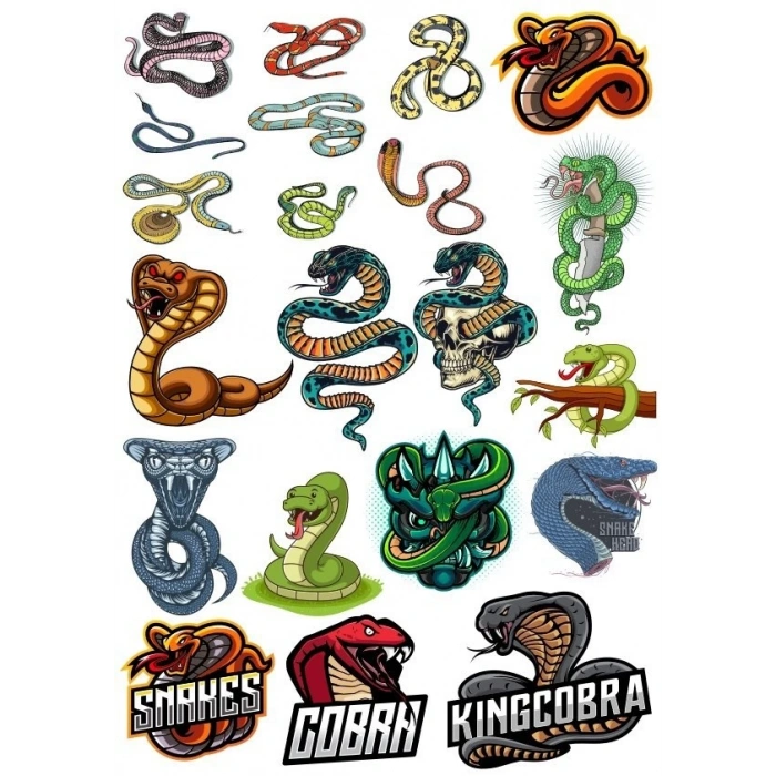 Yılan Cobra Sticker-2 17 Parça Telefon, Tablet, Defter, Laptop Sticker