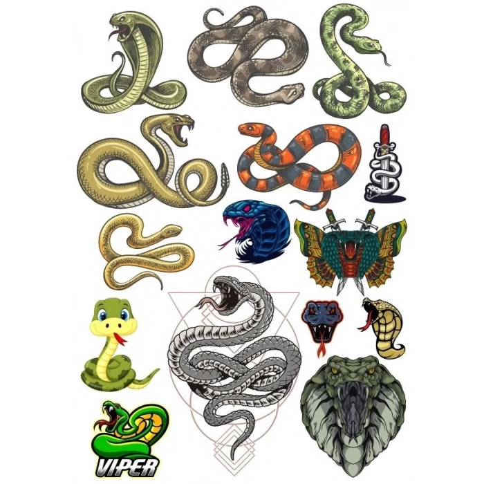 Yılan Sticker Set-3 13 Parça Telefon, Tablet, Defter, Laptop Sticker