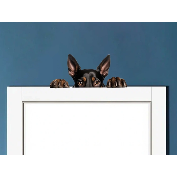 Yorkshire Terrier Duvar Stickerı