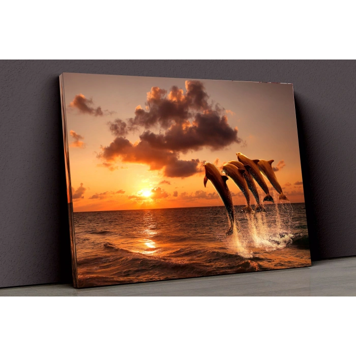 Yunuslar Ve Gün Batımı Kanvas