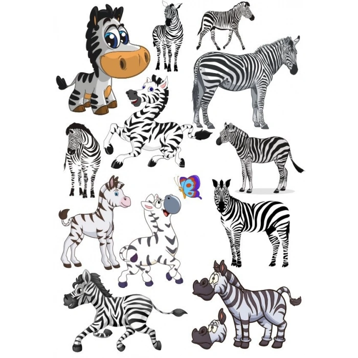 Zebra Sticker Set-1 13 Parça Telefon, Tablet, Defter, Laptop Sticker