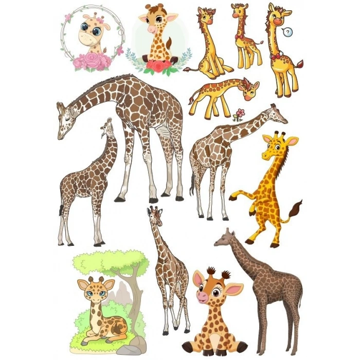 Zürafa Sticker Set-1 13 Parça Telefon, Tablet, Defter, Laptop Sticker