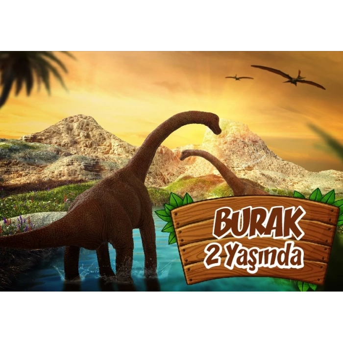 Dinozor Temalı Doğum Günü Afişi 35X50 cm