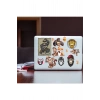 Kartal Sticker Set-1 11 Parça Telefon, Tablet, Defter, Laptop Sticker