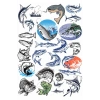Balıkçılık ve Balık Sticker Set 1