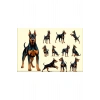 Doberman Sticker Set