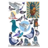 Güvercin Sticker Set 1