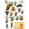Arı Sticker Set1 15 Parça Telefon, Tablet, Defter, Laptop Sticker