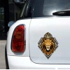 Aslan Sticker 10x10 cmRenkli Sticker