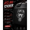 Aslan Sticker 10x10 cmRenkli Sticker