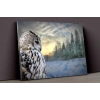 Baykuş Ve Kış Kanvas