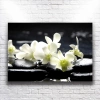 Beyaz Çiçekler Kanvas
