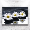 Beyaz Çiçekler Kanvas