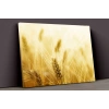 Buğday Tarlası Kanvas