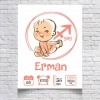Yay Burcu ve Bebek Temalı Yaş Panosu
