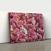 Canlı Pembe Çiçekli Sakura Ağacı Kanvas Tablo