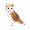 Çiçek Taçlı Baykuş Duvar Stickerı