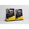 Fitness Studio Tanıtım Broşürü
