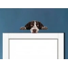 Kahverengi Beyaz Benekli Kısa Tüylü Pointer Köpek Duvar Stickerı