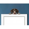 Kahverengi Beyaz Benekli Kısa Tüylü Pointer Köpek Duvar Stickerı