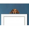 Kahverengi Dachshund (Sosis Köpek) Duvar Stickerı