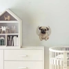 Kanatlı Pug Yavrusu Duvar Stickerı