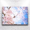 Kiraz Ağacı Kanvas
