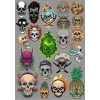 Kuru Kafa İskeletler Sticker Set 27 Parça Telefon, Tablet, Defter, Laptop Sticker