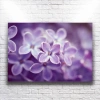 Mor Çiçekler Kanvas