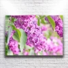 Mor Çiçekler Kanvas