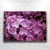 Mor Çiçekler Kanvas