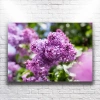 Mor Çiçekler Kanvas