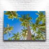 Palmiye Ağacı Kanvas